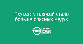 article-0b0d700542b55e50.png article-0b0d700542b55e50.png